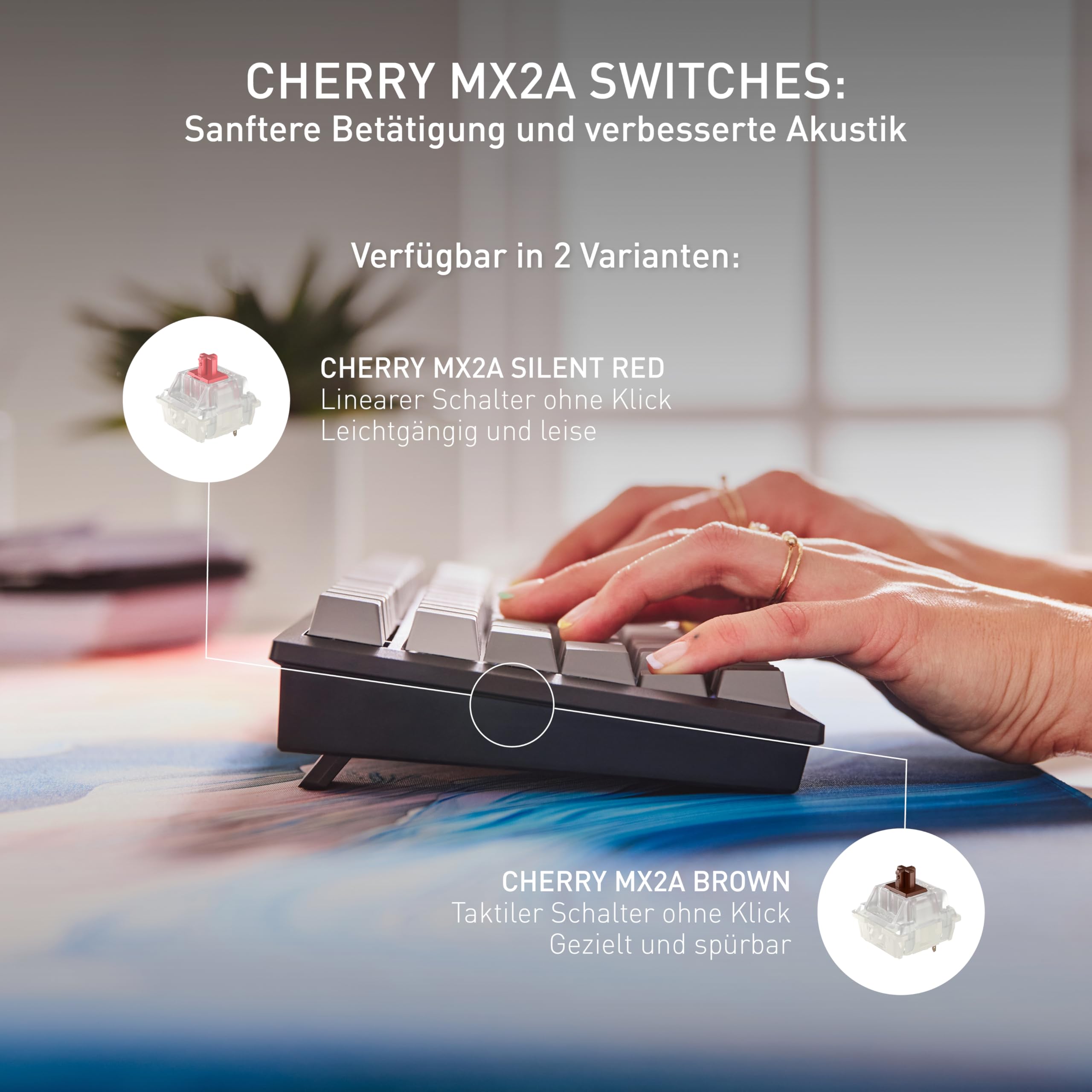 cherry-kw-300-mx-tastatur-brown-qwertz-mechanisch image 3