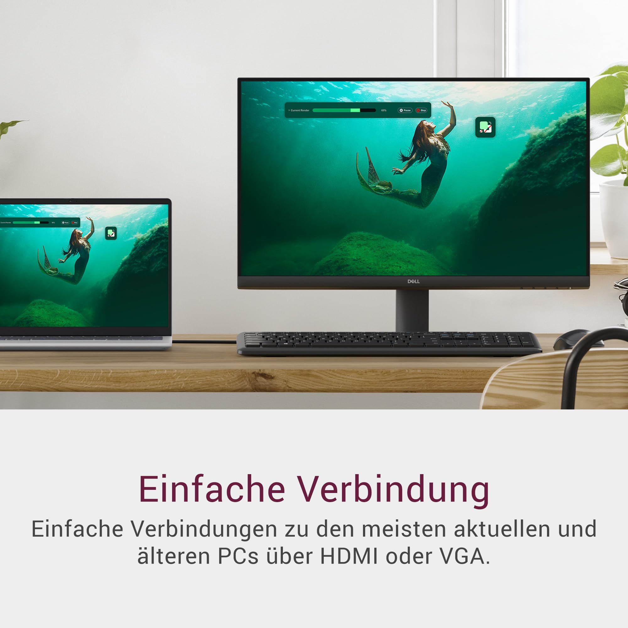 dell-se2425hm-24-zoll-monitor-full-hd-100hz-ips image 3