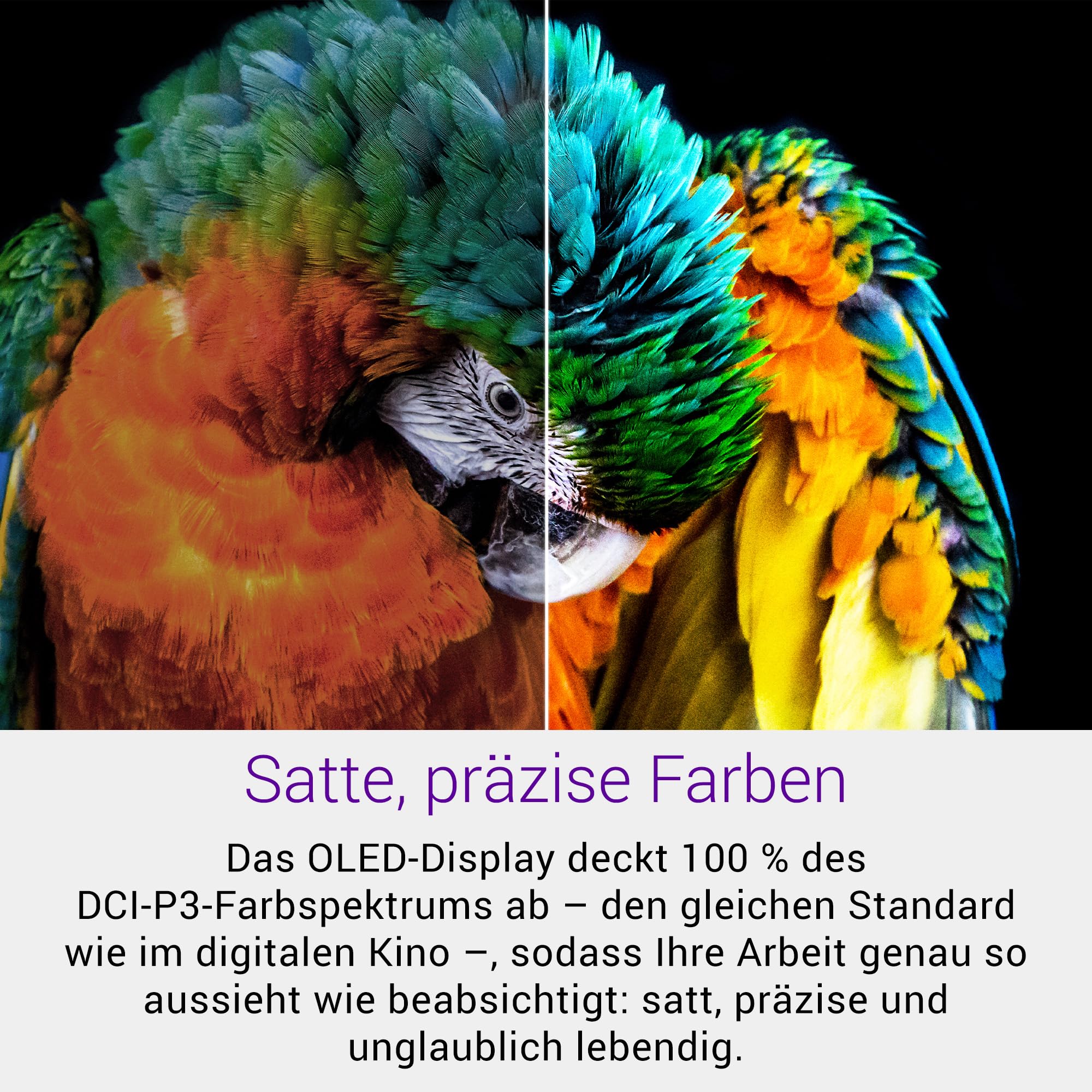 dell-16-premium-da16250-laptop-32gb-1tb-rtx-5070-oled-touch-platinum image 3