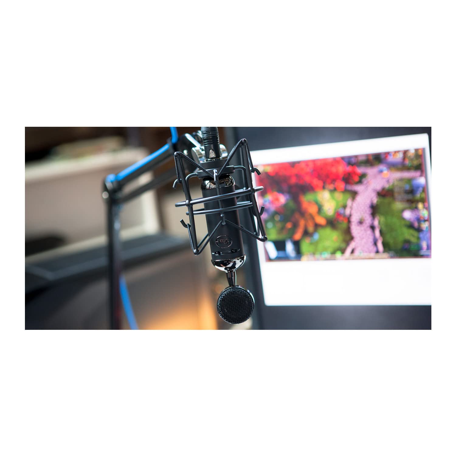 blue-spark-sl-blackout-xlr-kondensatormikrofon-niere image 2