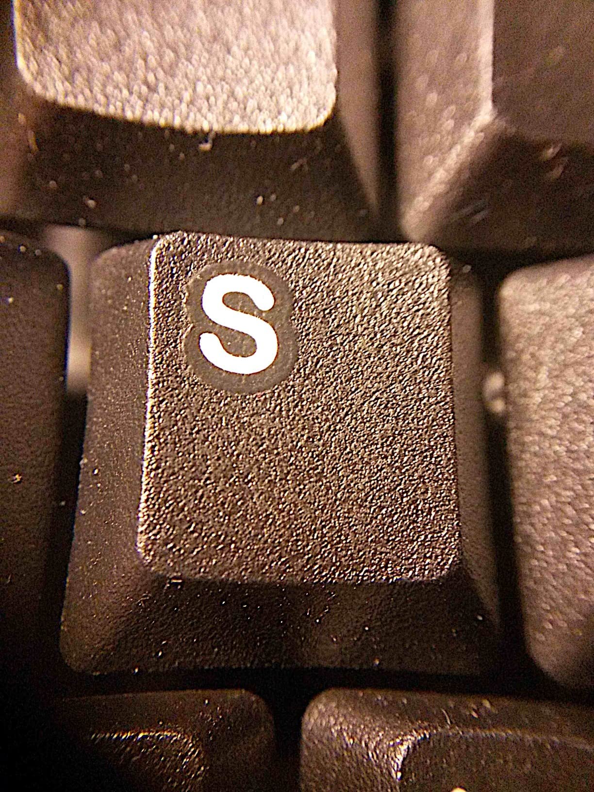 Maus genau