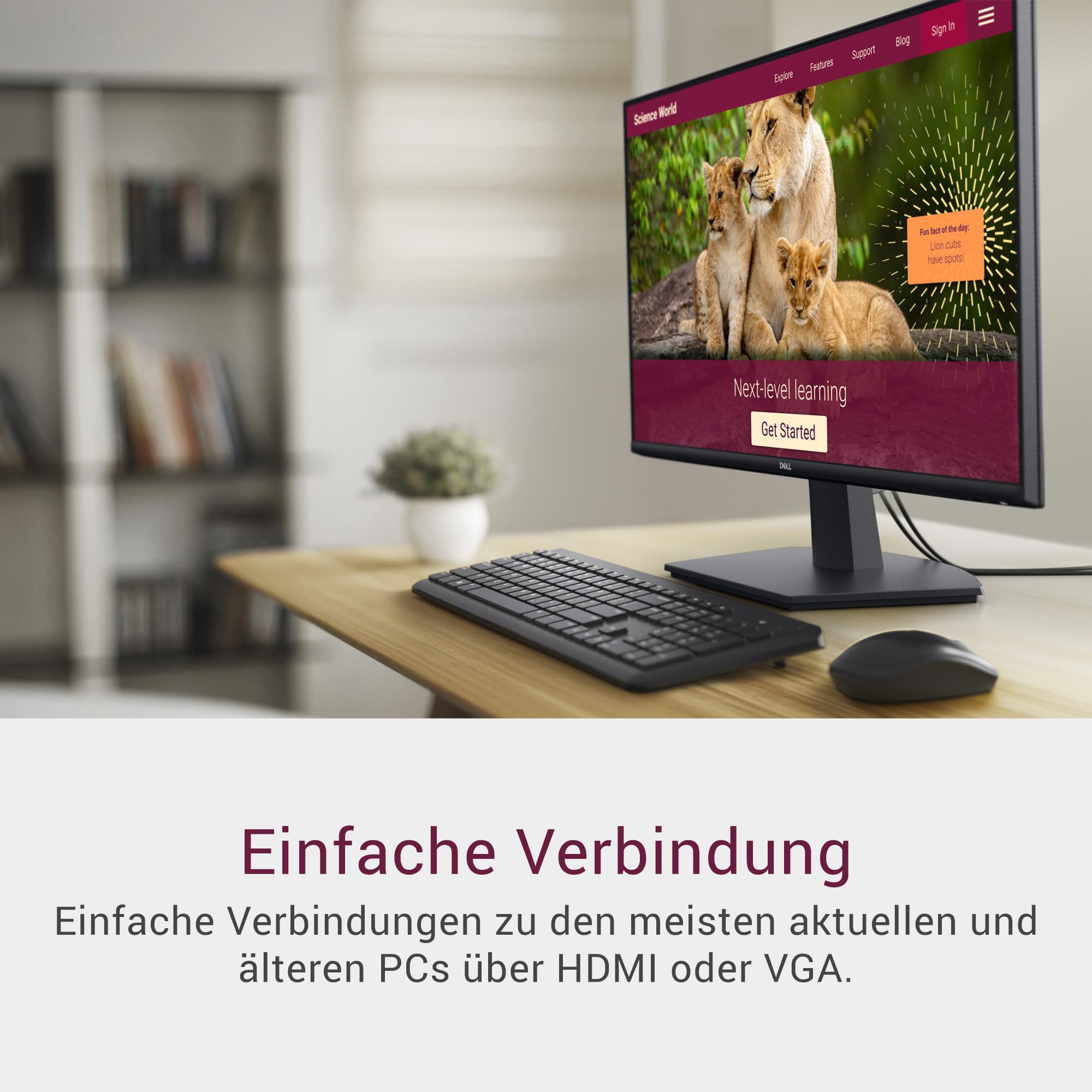 dell-se2725hm-27-zoll-full-hd-monitor-schwarz-100hz-ips image 2
